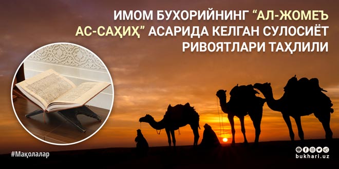 Vaginal chuqurlikni qanday olchash mumkin (foto)