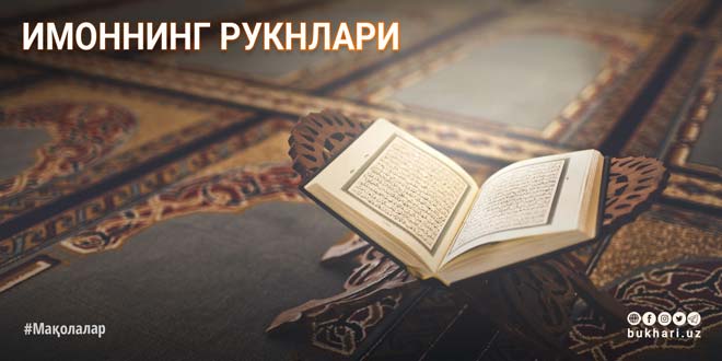 Kattalar uchun oilaviy porno Uy qurilishi jinsiy aloqa f lmi